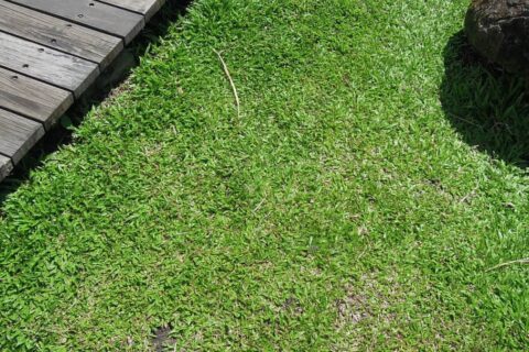 Landscaping Contractors Bexley