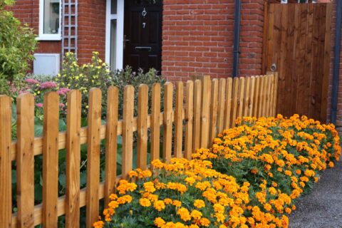 Bexley Garden Landscaping